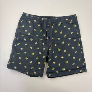 Bixby Nomad Mens Avocado Print Shorts Cotton & Spandex Blend Size 33
